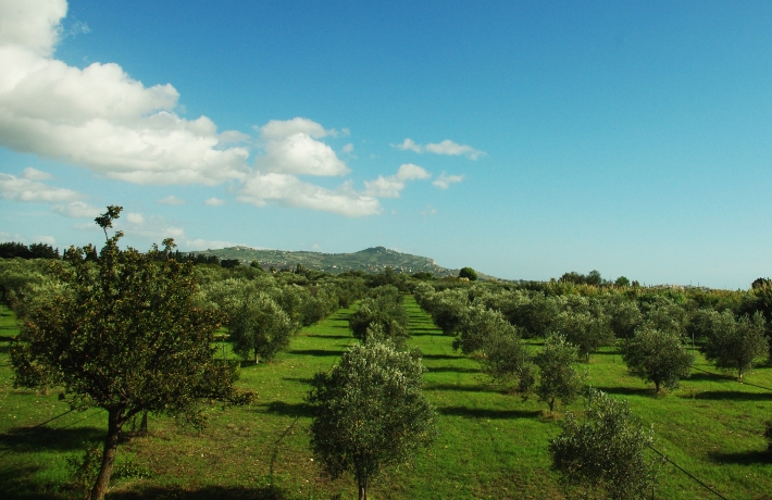 progetto Onirico Garden
