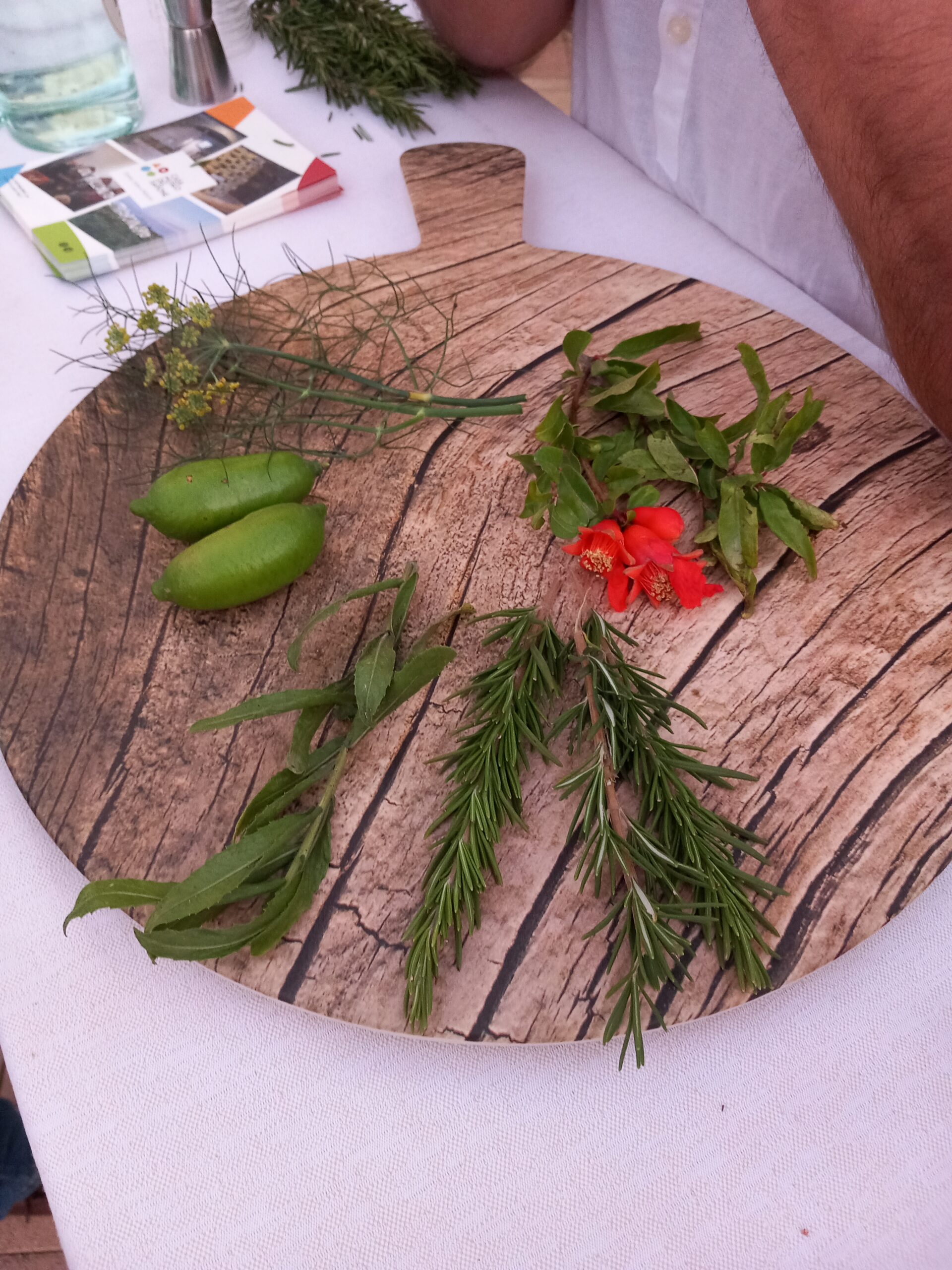 Botaniche mediterranee di Persefone Gin esposte al Gin Day di Ribera