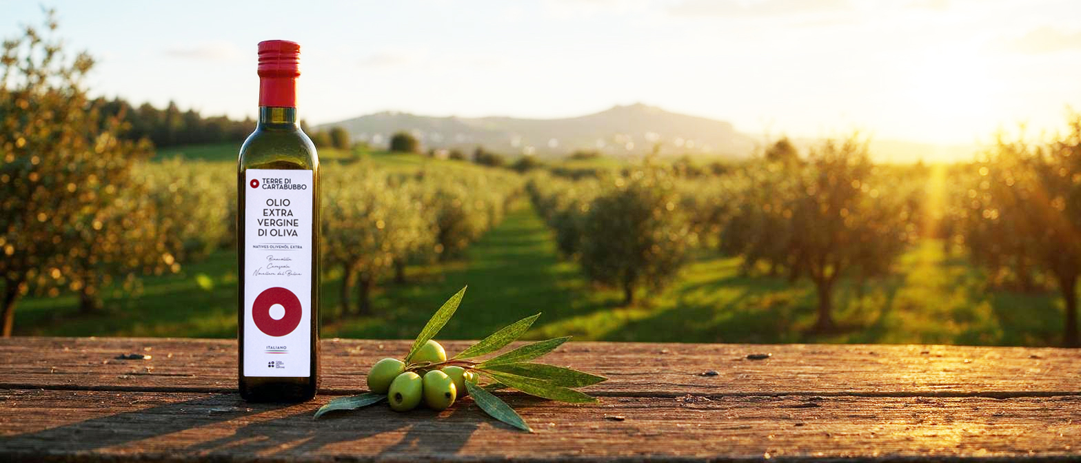 Olio EVO Terre di Cartabubbo nella campagna di Sciacca