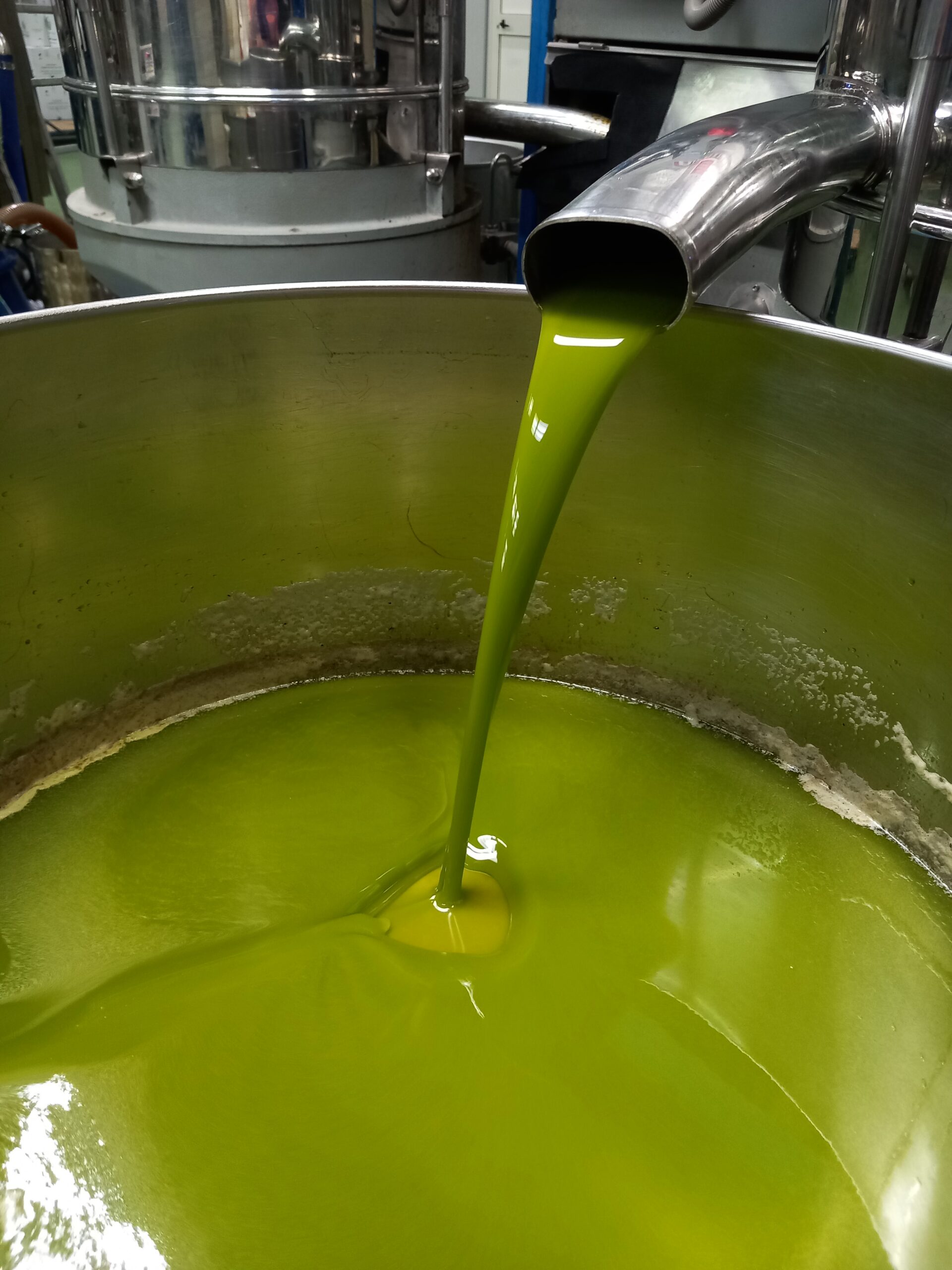 Olio extra vergine Terre di Cartabubbo in uscita dal frantoio