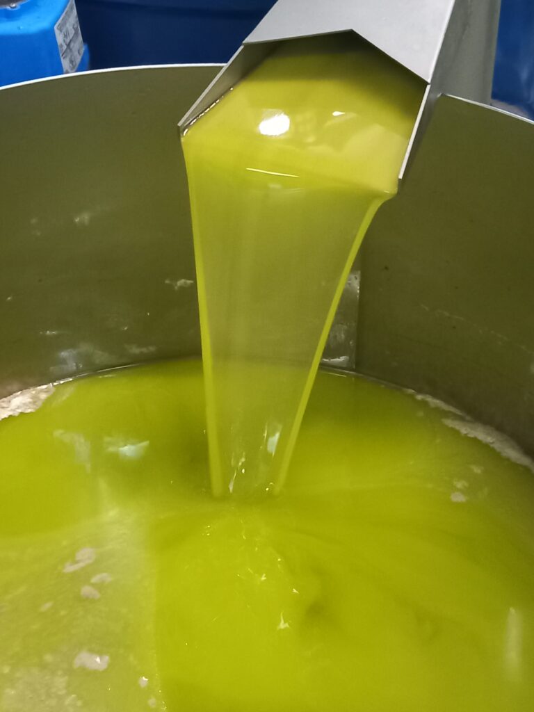 Olio Terre di Cartabubbo appena estratto al frantoio